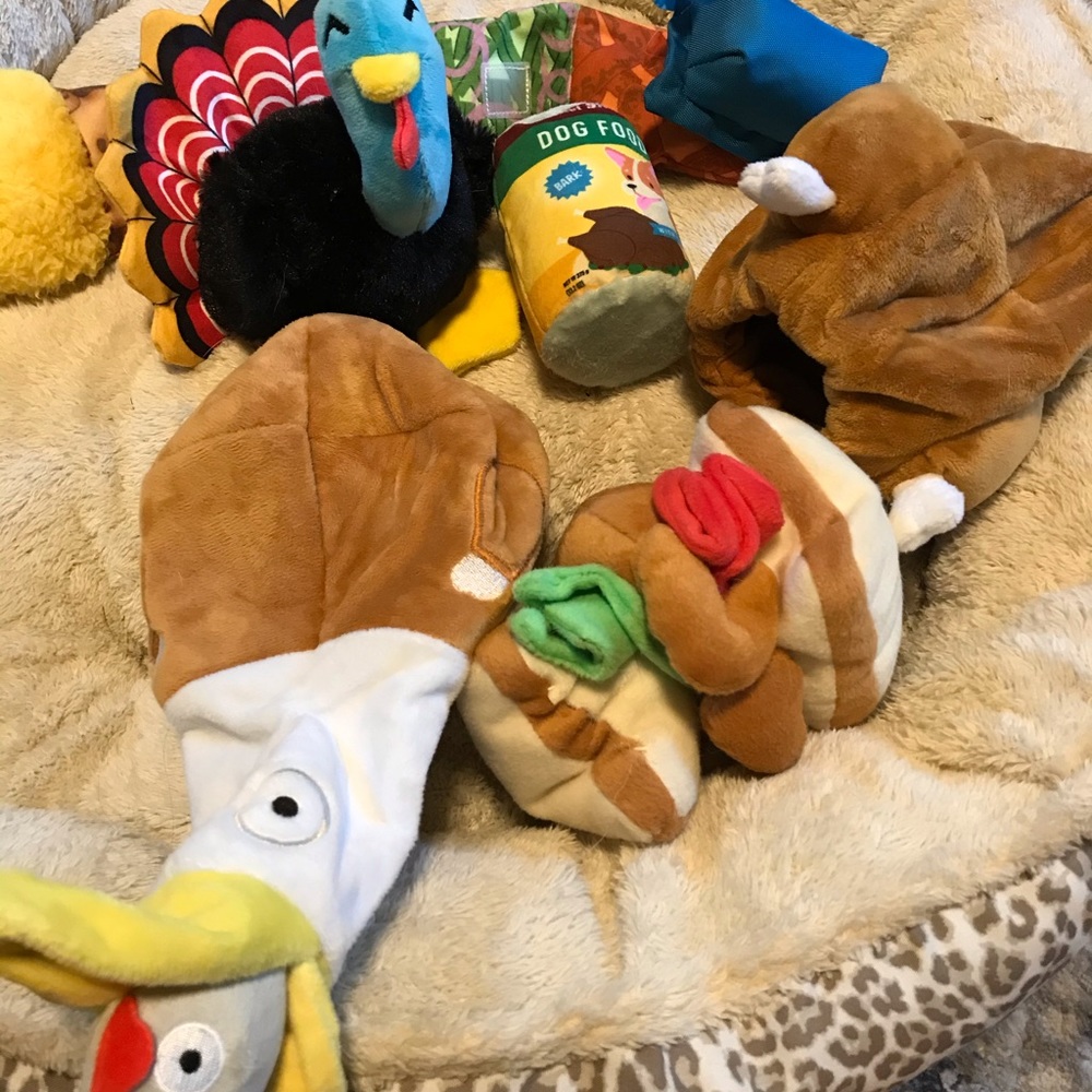 Bark Box Toys LOT